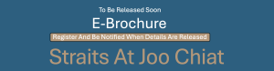 straits-at-joo-chiat-e-brochure